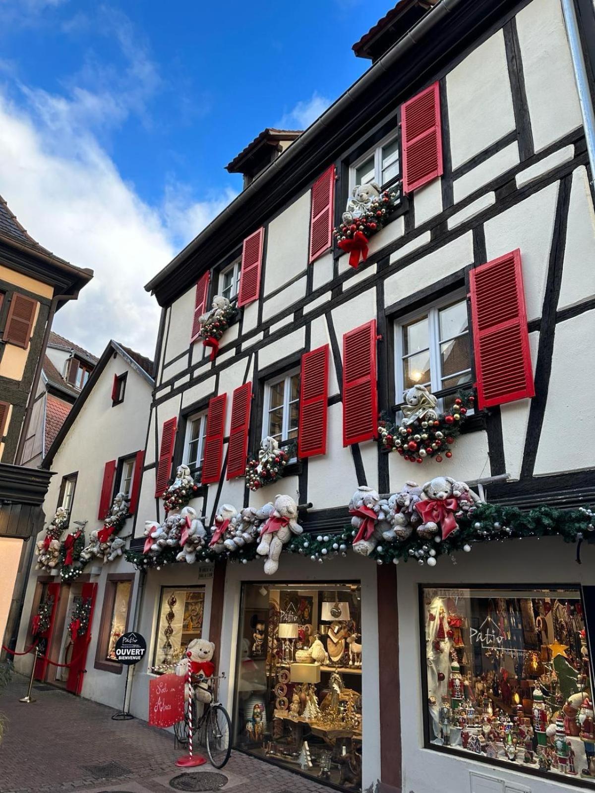 Apartamento Bienvenue Au Coeur D Alsace-Centre Obernai -3 Etoiles - Exterior foto